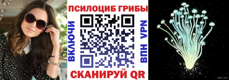 продажа наркотиков Эртиль Псилоцибиновые грибы прущие грибы